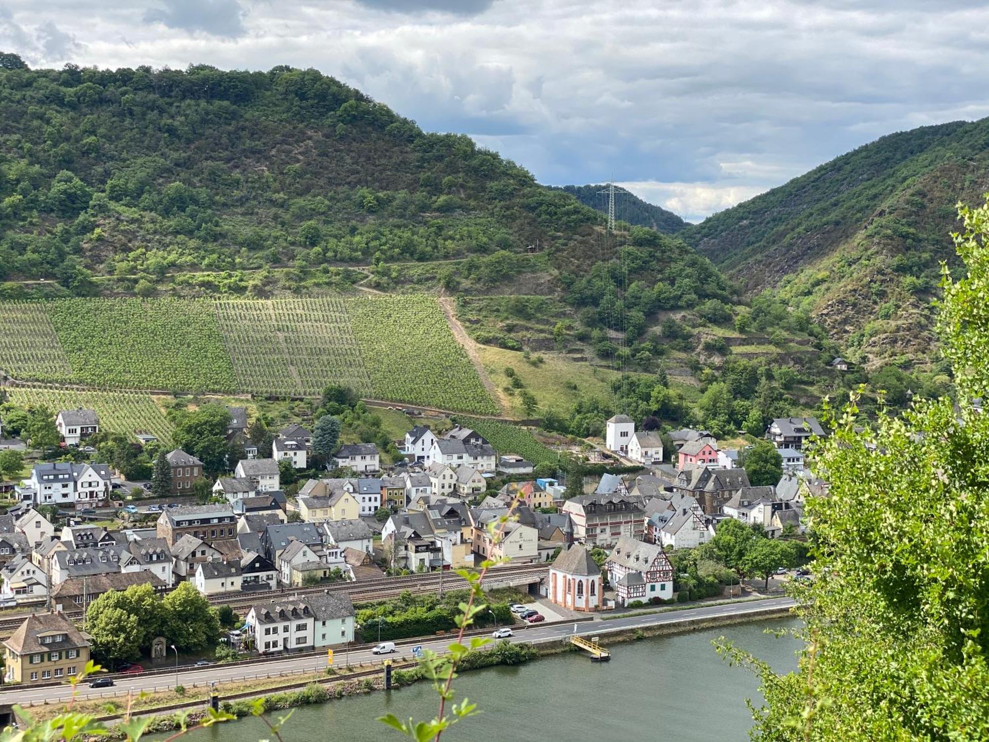 Mike'S Mosel Lodge Treis-Karden Dış mekan fotoğraf
