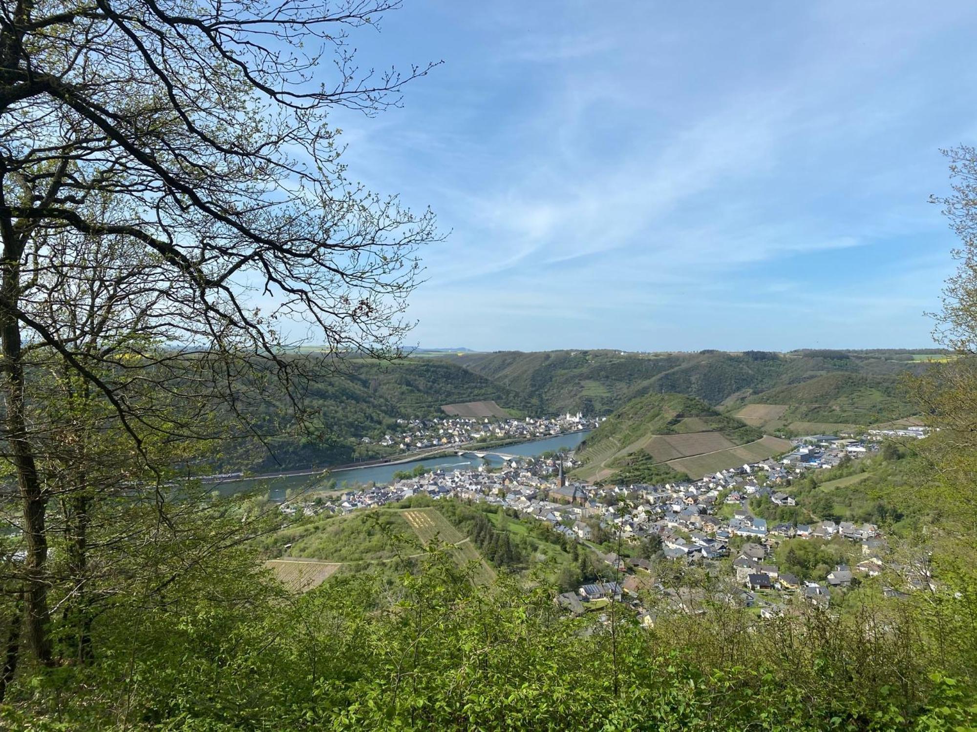Mike'S Mosel Lodge Treis-Karden Dış mekan fotoğraf